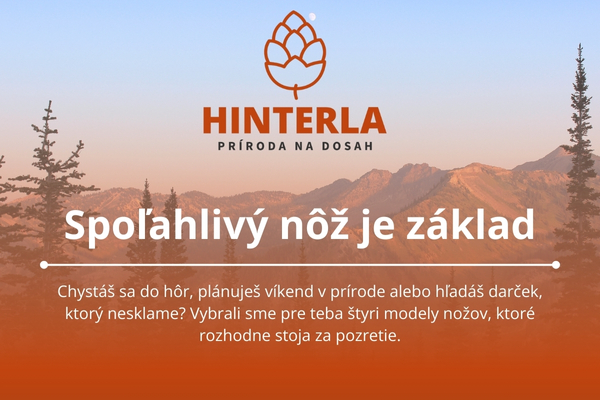 newsletter bannery 